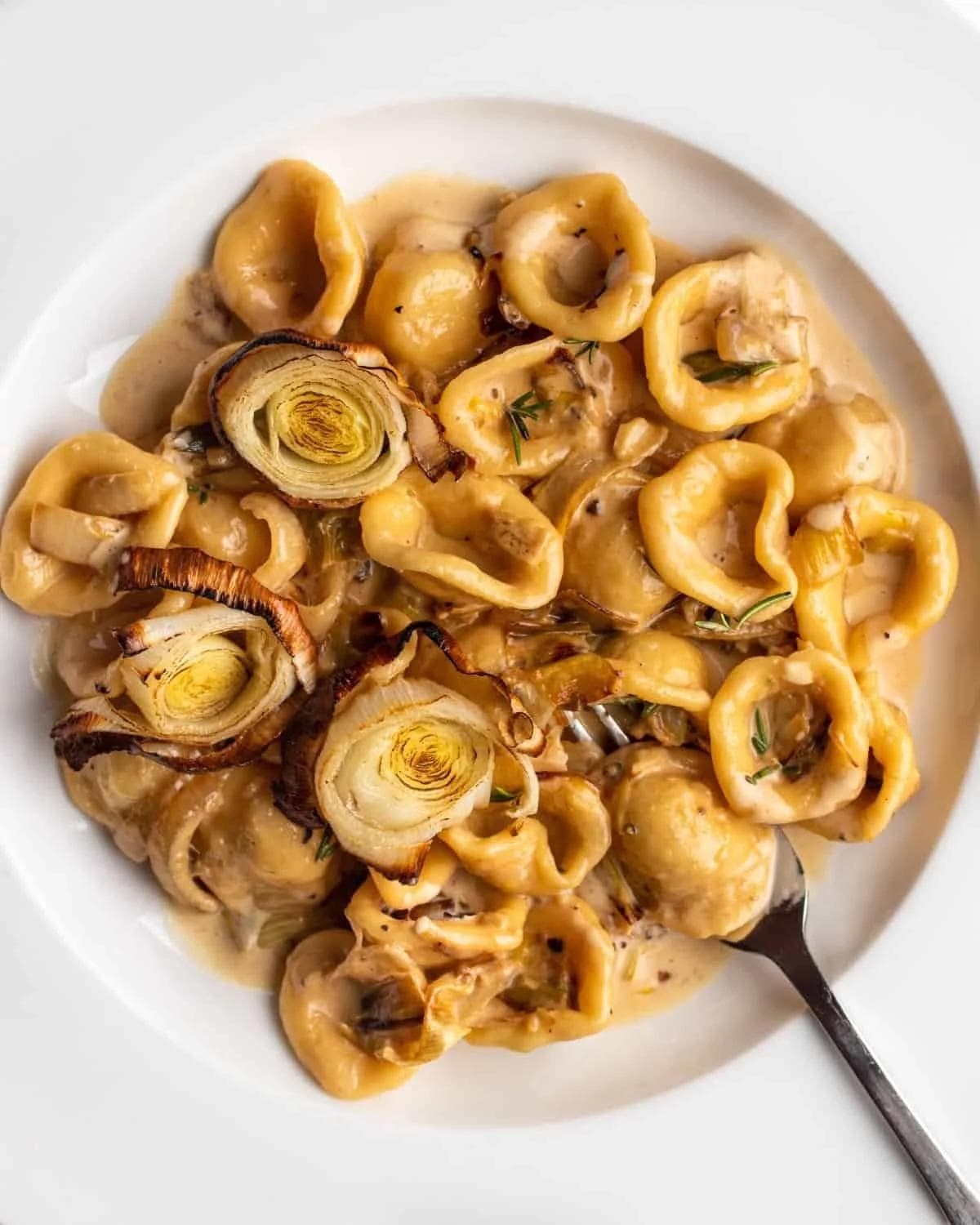 Caramelized Creamy Leek Pasta